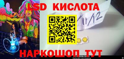 спиды Камышлов