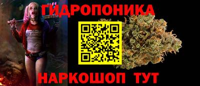 a pvp Канаш