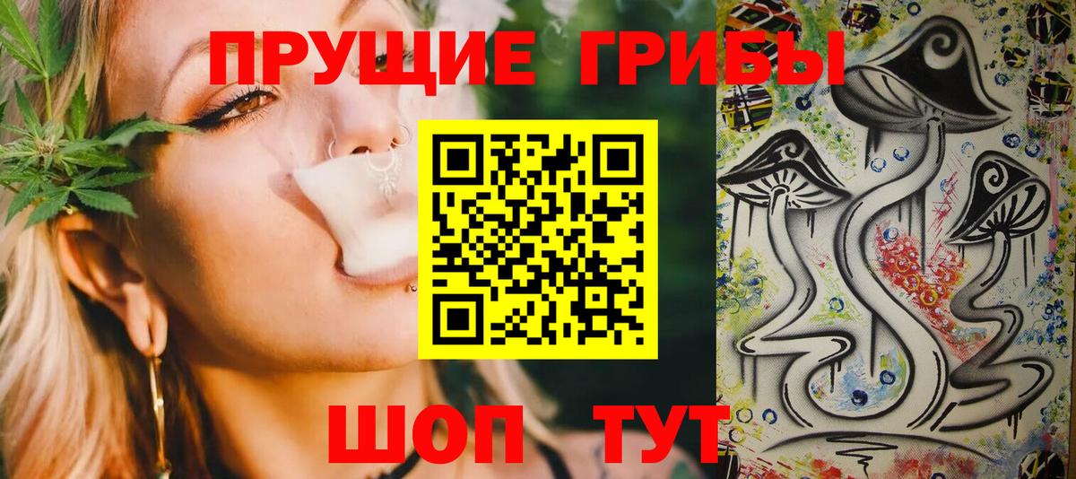 Красный Сулин  Галлюциногенные грибы прущие грибы  Вход с VPN 
